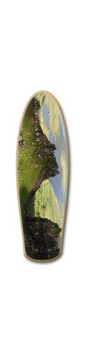 Design 225558