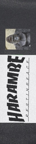Design 225733 Skateboards, Longboards and Grip Tape