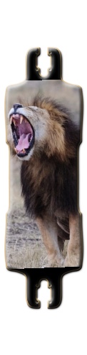 Design 226904 Skateboards, Longboards and Grip Tape