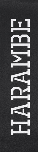 Design 227309 Skateboards, Longboards and Grip Tape