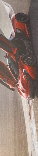 Design 230591 Skateboards, Longboards and Grip Tape Image