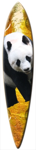 Design 234134 Skateboards, Longboards and Grip Tape