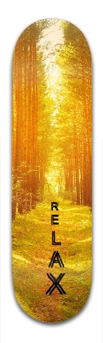 Design 240081