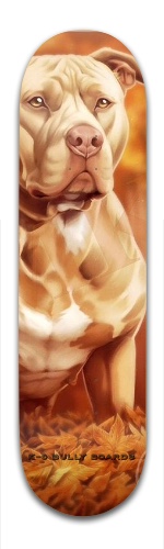 Design 242903 Skateboards, Longboards and Grip Tape Image