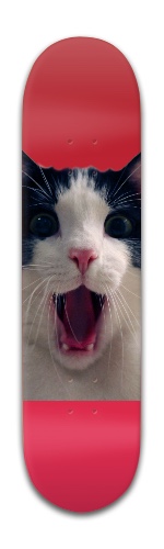 The surprise Skateboards, Longboards and Grip Tape Image