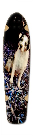 Design 245697 Skateboards, Longboards and Grip Tape