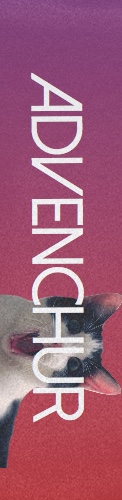 Design 246071
