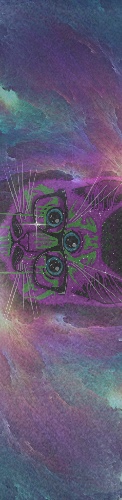 Design 249001 Skateboards, Longboards and Grip Tape
