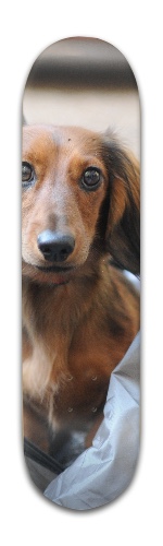 Design 250278 Skateboards, Longboards and Grip Tape Image