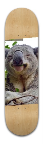 Design 254070 Skateboards, Longboards and Grip Tape Image