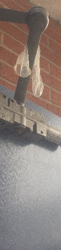 Design 262881 Skateboards, Longboards and Grip Tape Image