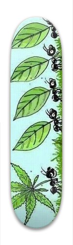 Design 265271 Skateboards, Longboards and Grip Tape Image