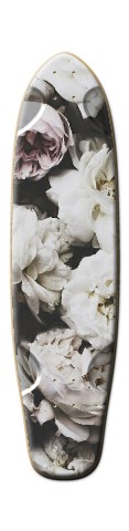 Design 26733 Skateboards, Longboards and Grip Tape