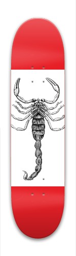 Design 271583 Skateboards, Longboards and Grip Tape Image