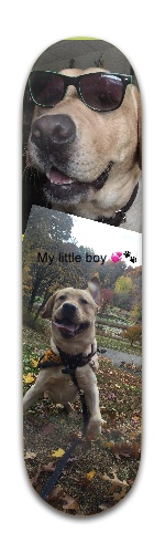 Design 273419 Skateboards, Longboards and Grip Tape Image