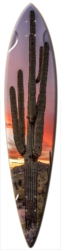 Design 275814 Skateboards, Longboards and Grip Tape