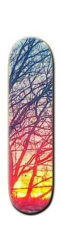 Design 284219 Skateboards, Longboards and Grip Tape