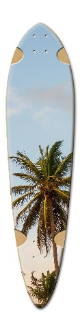Design 288115 Skateboards, Longboards and Grip Tape