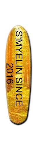 Design 288408