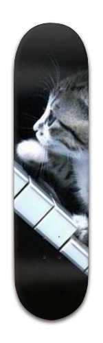 Design 289893 Skateboards, Longboards and Grip Tape Image