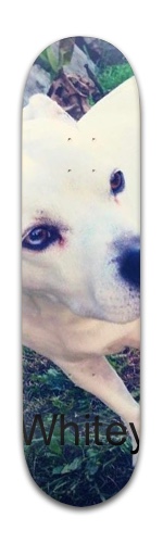 Design 292337 Skateboards, Longboards and Grip Tape
