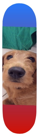 Design 29353 Skateboards, Longboards and Grip Tape Image