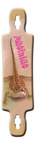 Design 293840 Skateboards, Longboards and Grip Tape