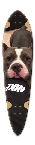 Design 296844 Skateboards, Longboards and Grip Tape