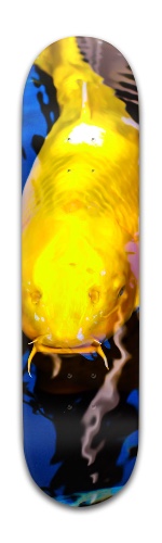 Design 297359 Skateboards, Longboards and Grip Tape