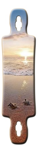 Design 297635 Skateboards, Longboards and Grip Tape