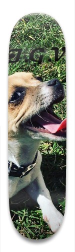 Design 299962 Skateboards, Longboards and Grip Tape Image