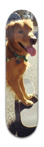 Design 301553 Skateboards, Longboards and Grip Tape Image