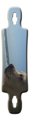 Design 302783 Skateboards, Longboards and Grip Tape