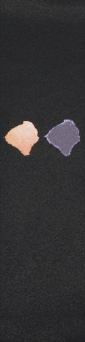 Design 303502 Skateboards, Longboards and Grip Tape