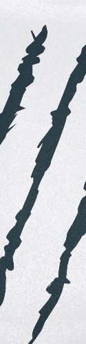 Design 307502 Skateboards, Longboards and Grip Tape