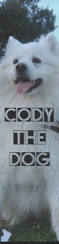 CODY THE DOG Skateboards, Longboards and Grip Tape Image