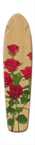 Design 308243 Skateboards, Longboards and Grip Tape