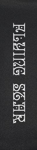 Design 308663