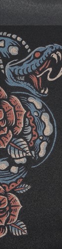 Design 309751 Skateboards, Longboards and Grip Tape