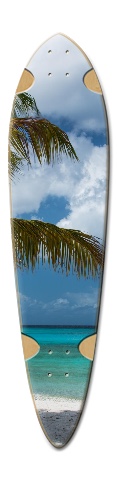 Design 309913 Skateboards, Longboards and Grip Tape Image