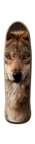 Design 310534 Skateboards, Longboards and Grip Tape Image
