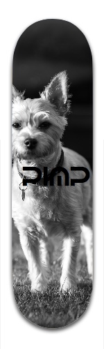 Design 310574 Skateboards, Longboards and Grip Tape