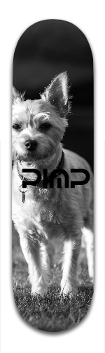 Design 310575 Skateboards, Longboards and Grip Tape