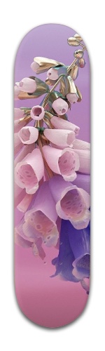 Design 310622