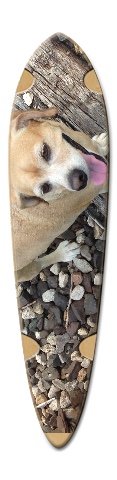 Design 311130 Skateboards, Longboards and Grip Tape