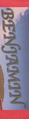 Design 311838 Skateboards, Longboards and Grip Tape