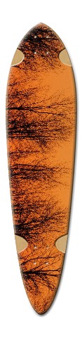Design 312072