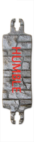 Design 312280 Skateboards, Longboards and Grip Tape