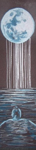 Design 312445 Skateboards, Longboards and Grip Tape