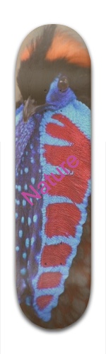 Design 317278 Skateboards, Longboards and Grip Tape Image